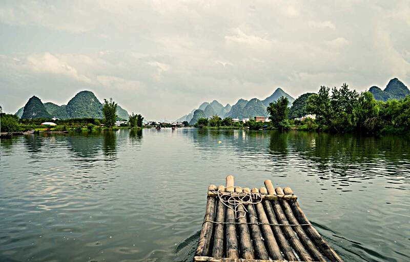 A drifting raft of tree trunks